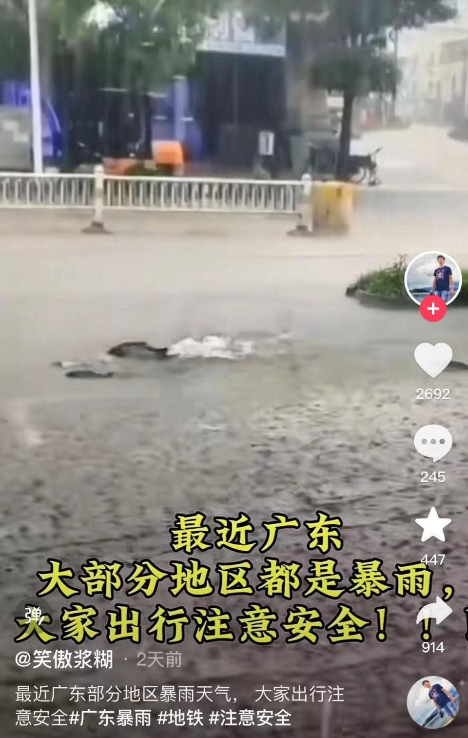 广东与山东，一场跨越地域的文化碰撞